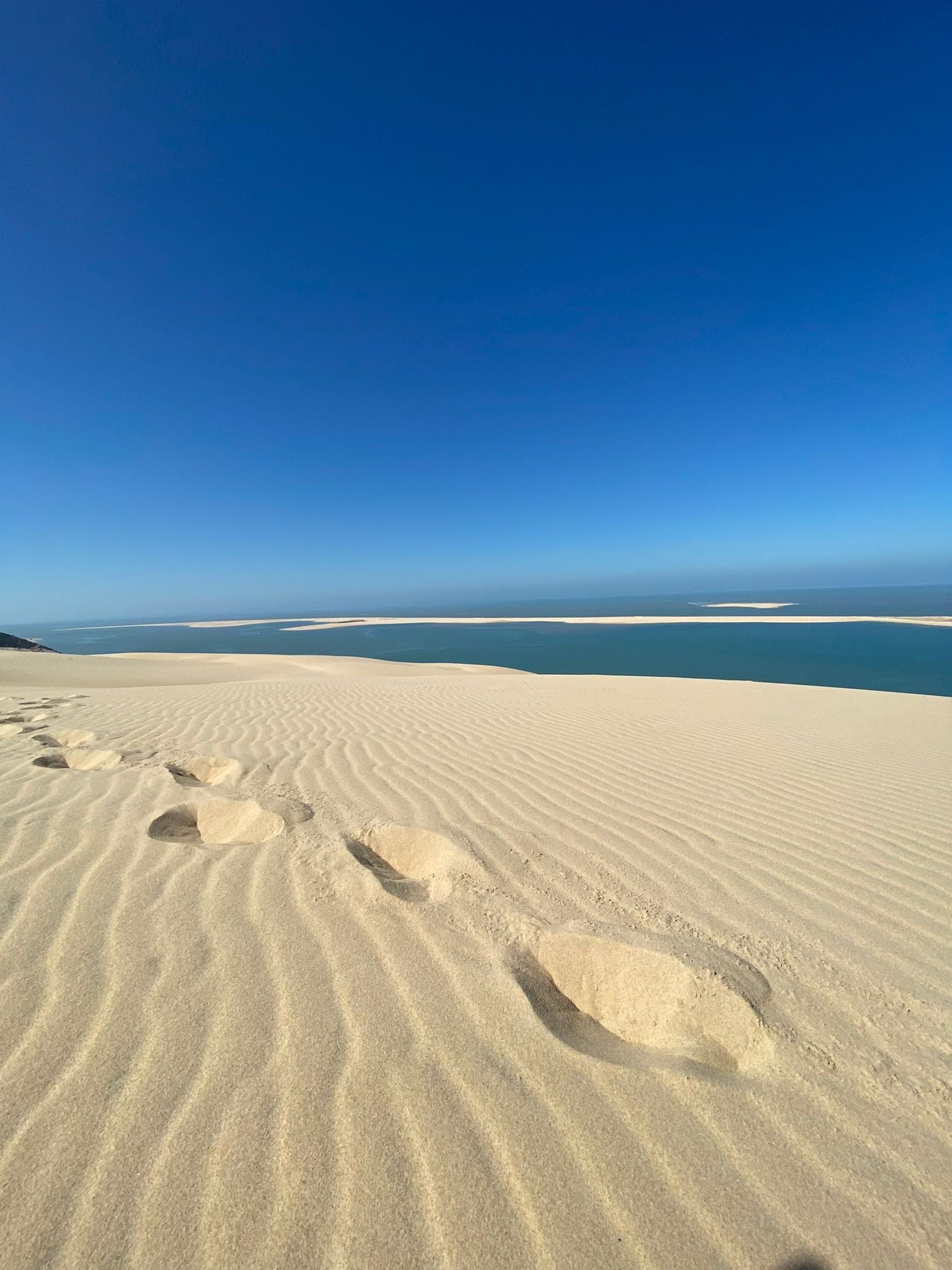La dune du Pyla dans le Bassin d'Arcachon, là où est née Marcelle Ouest